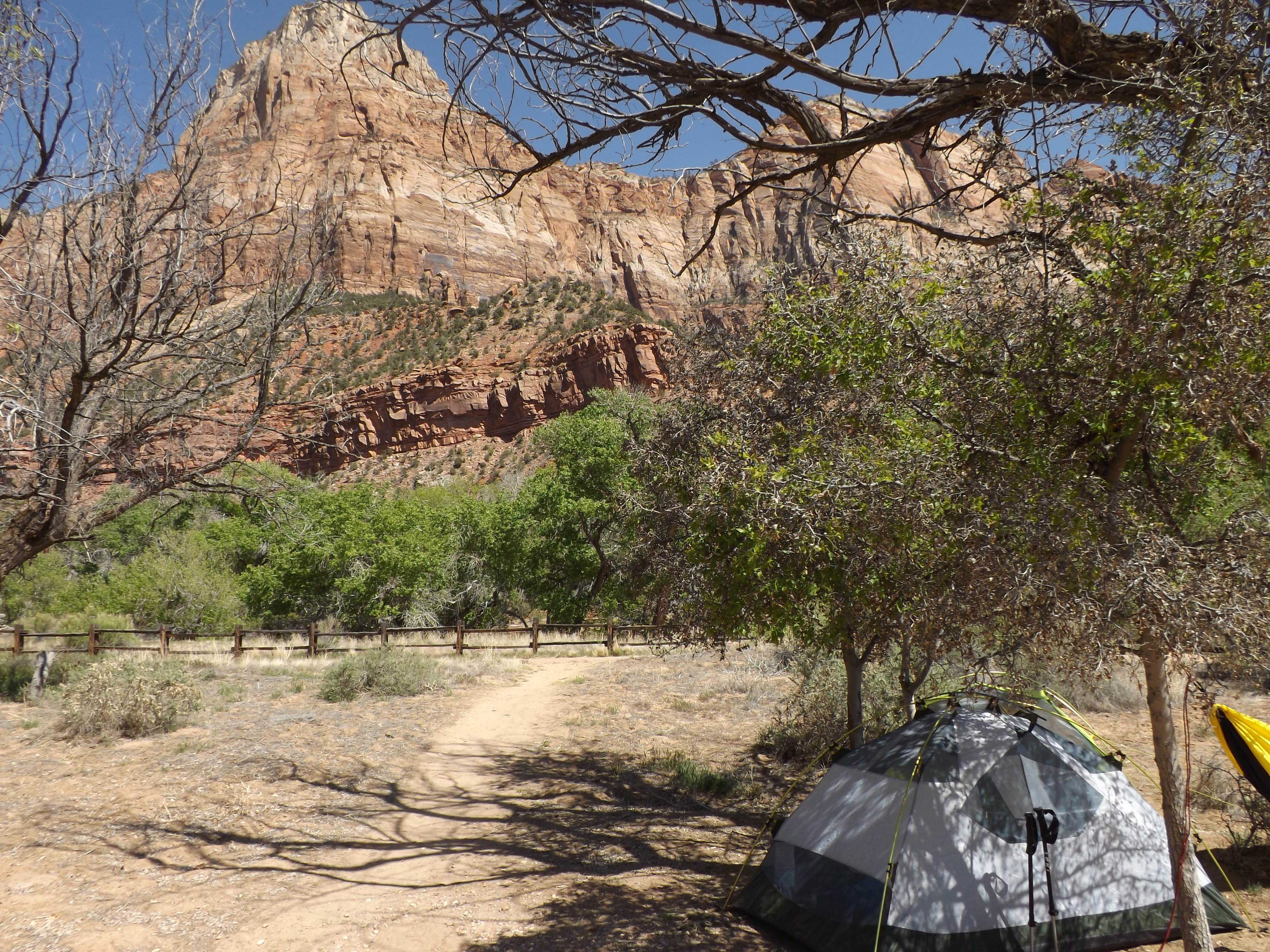 Anthony P.'s photo at South Campground — Zion National Park near Springdale, UT