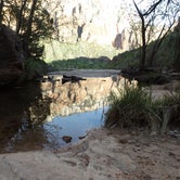 Review photo of South Campground — Zion National Park by Anthony P., September 12, 2018