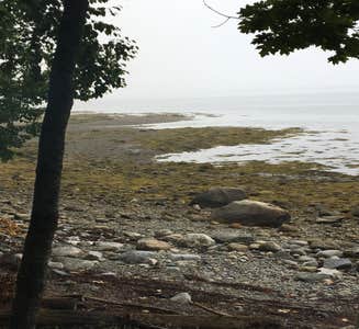 Camper-submitted photo from Searsport Shores Ocean Campground
