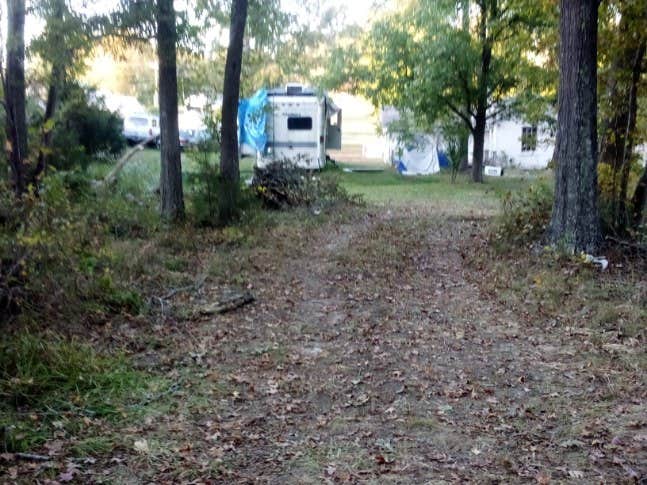 Camper submitted image from Callahan's Hideaway  - 3