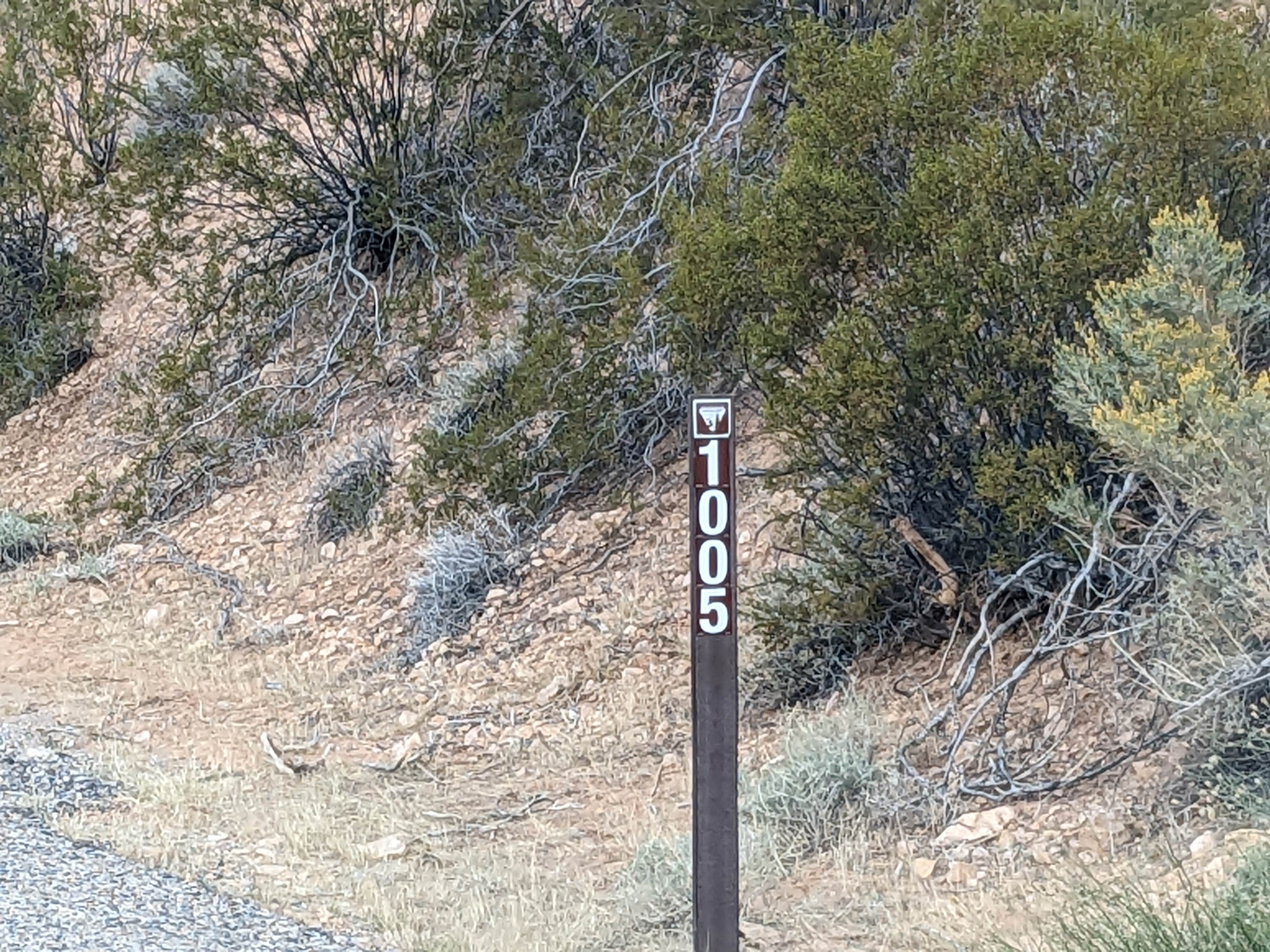 Camper submitted image from Cedar Pockets Pass Road - Dispersed Camping - 5