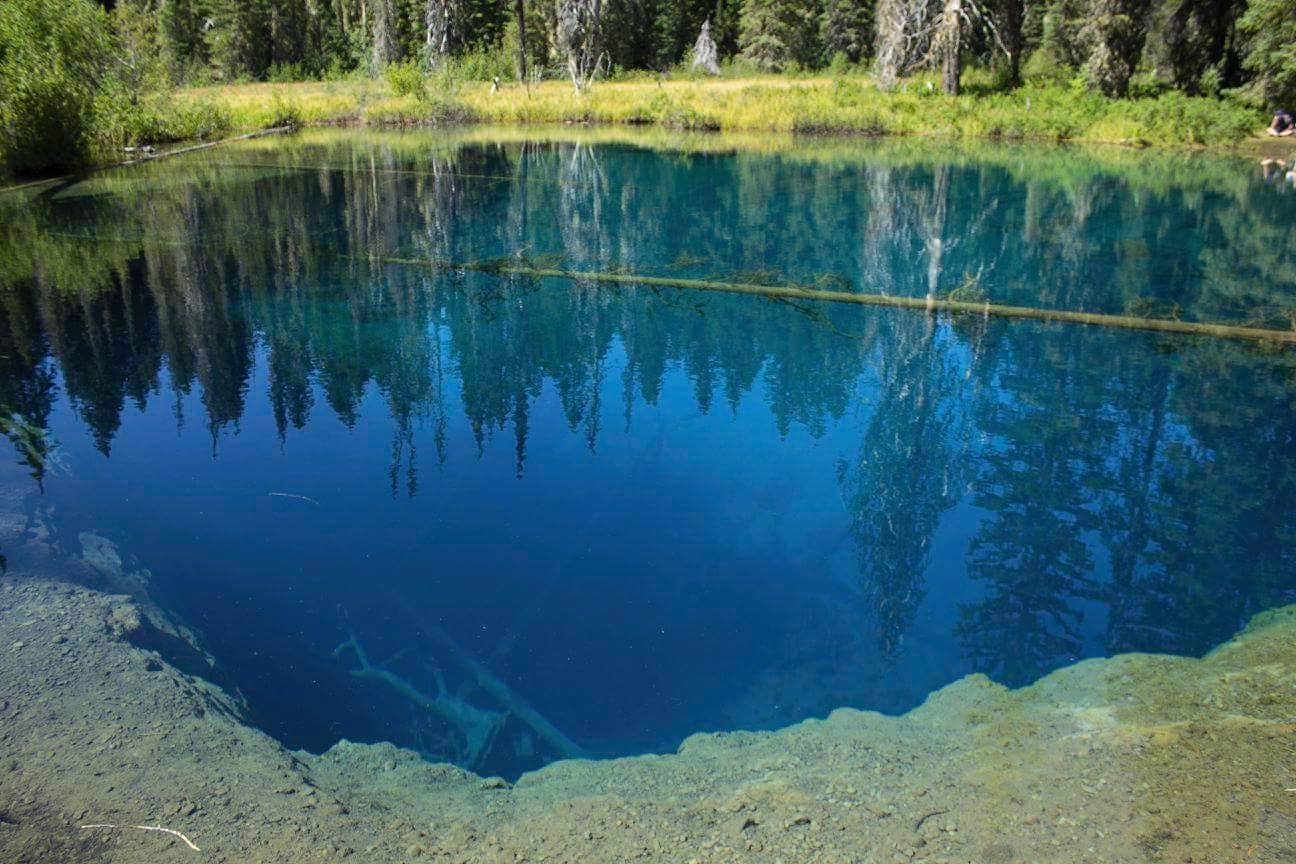 Camper submitted image from Little Crater Lake - 4