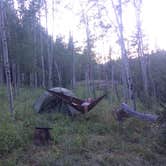 Review photo of Gore Creek Campground by Anthony P., September 7, 2018