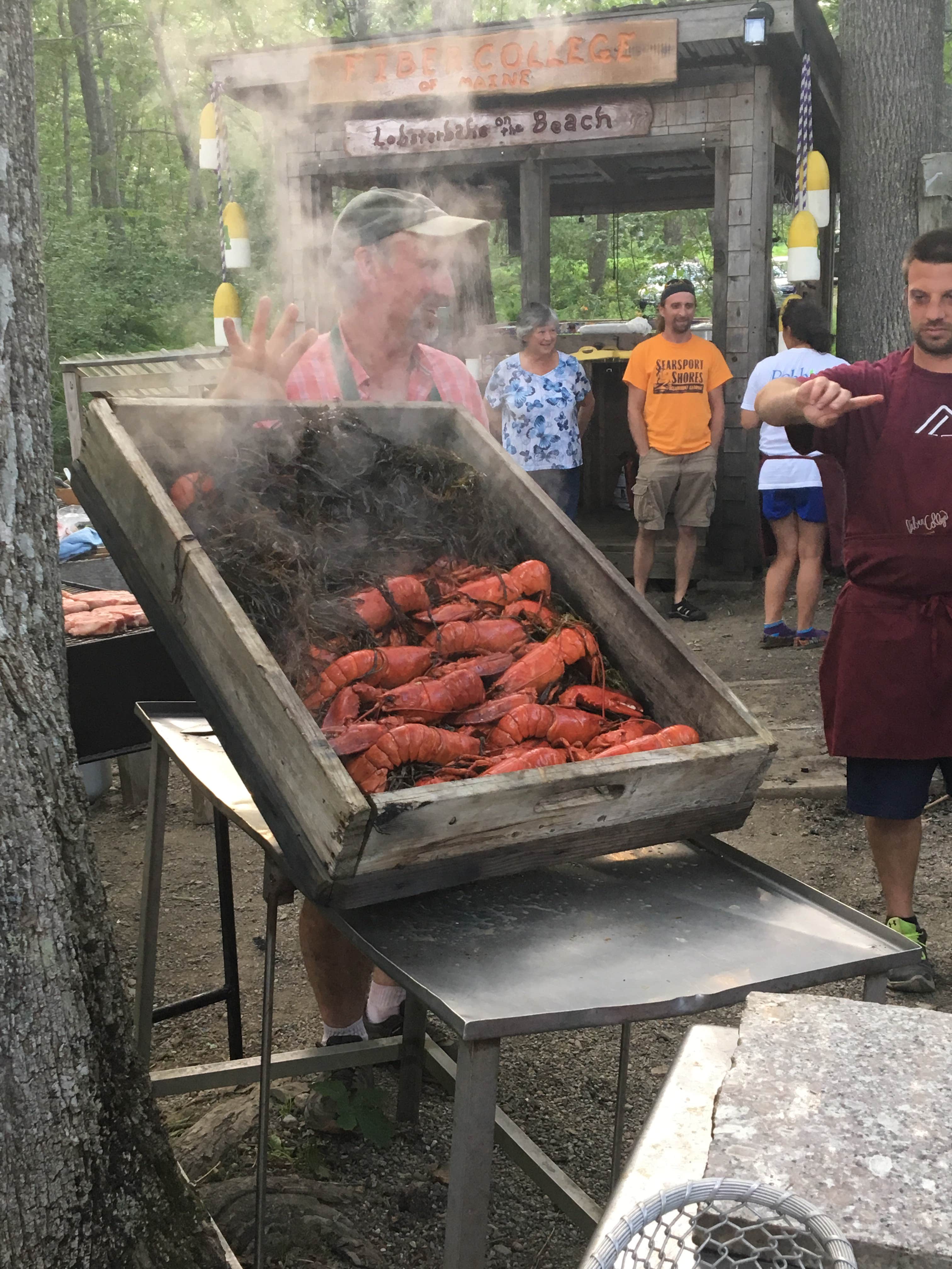 Camper submitted image from Searsport Shores Ocean Campground - 2