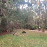 Review photo of Ocean Pond Campground by Yvie R., November 1, 2022