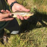 Review photo of Homestake Road Dispersed - CO by Anthony P., September 12, 2018