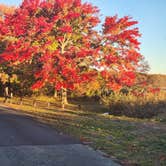 Review photo of Cheesequake State Park Campground by James D. F., November 2, 2022