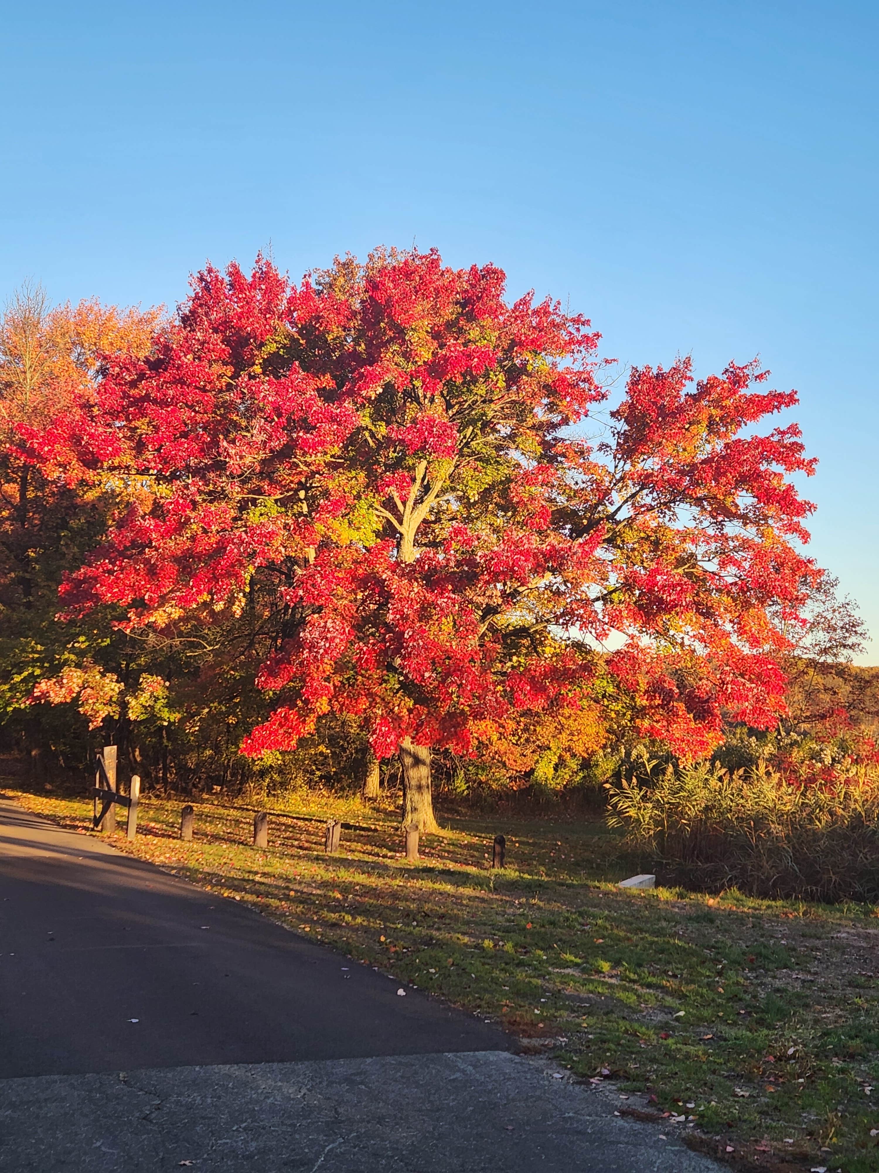 Camper-submitted photo at Cheesequake State Park Campground near Wall, NJ