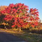 Review photo of Cheesequake State Park Campground by James D. F., November 2, 2022