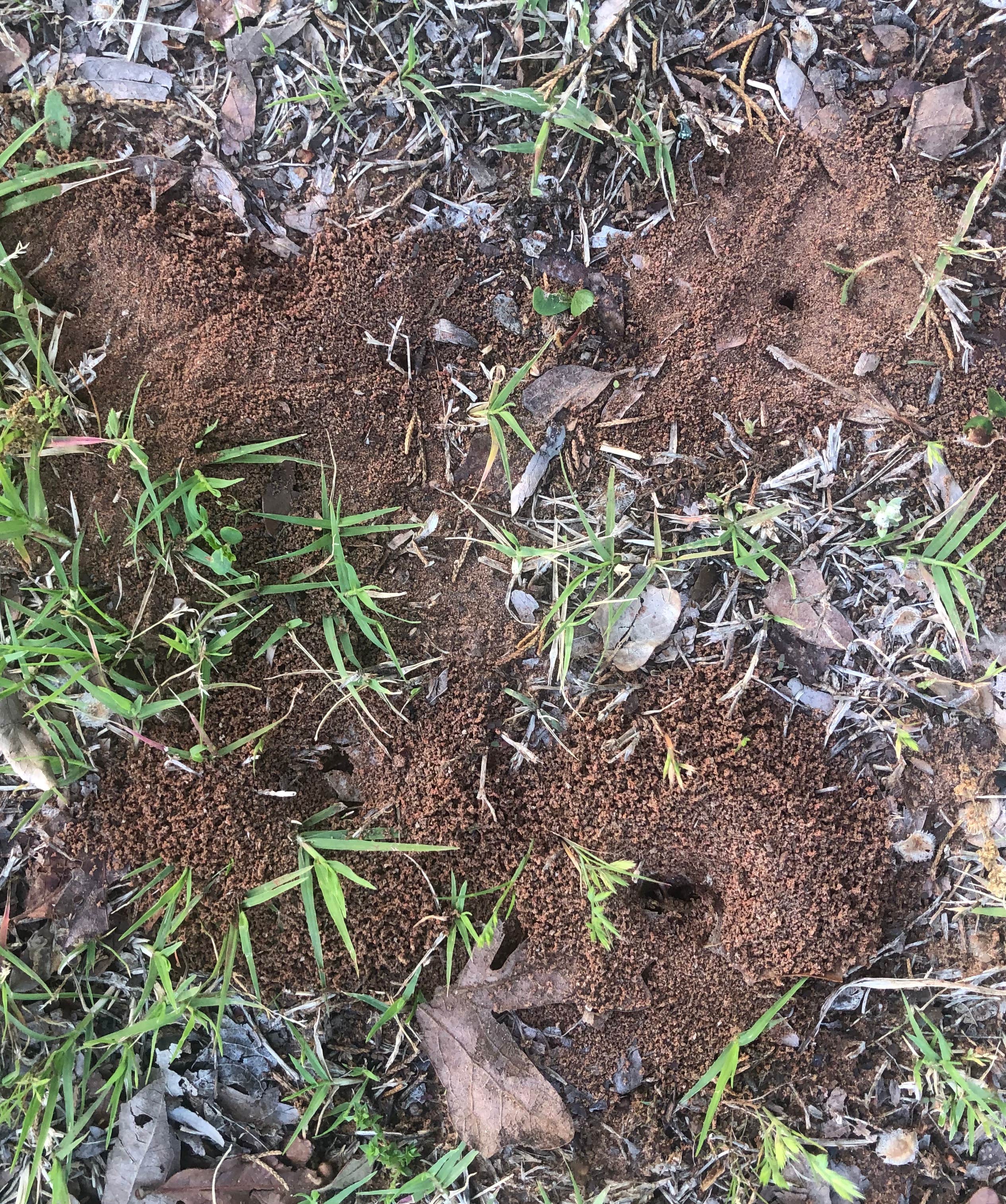 Camper-submitted photo at Central State Park Campground near Midwest City, OK