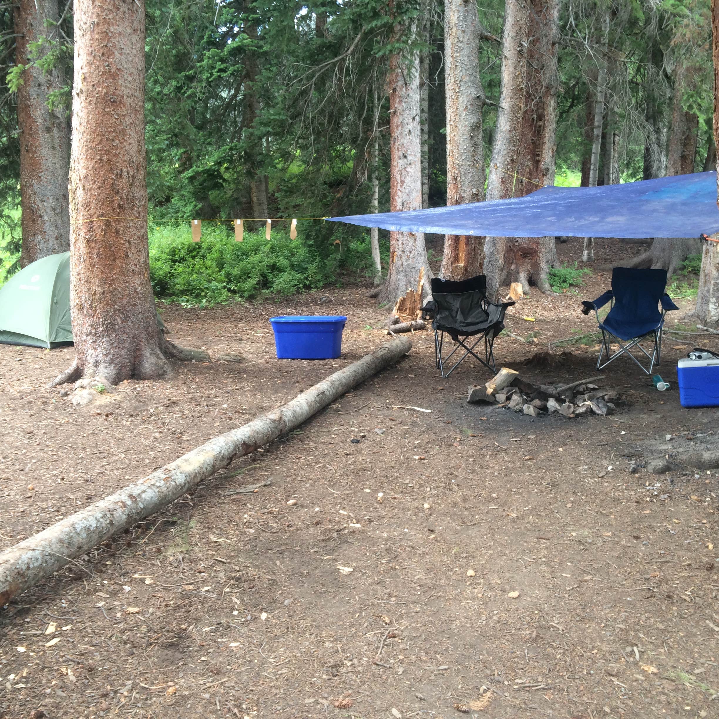 Camper-submitted photo at Gothic — Grand Mesa, Uncompahgre And Gunnison National Forest near Crested Butte, CO