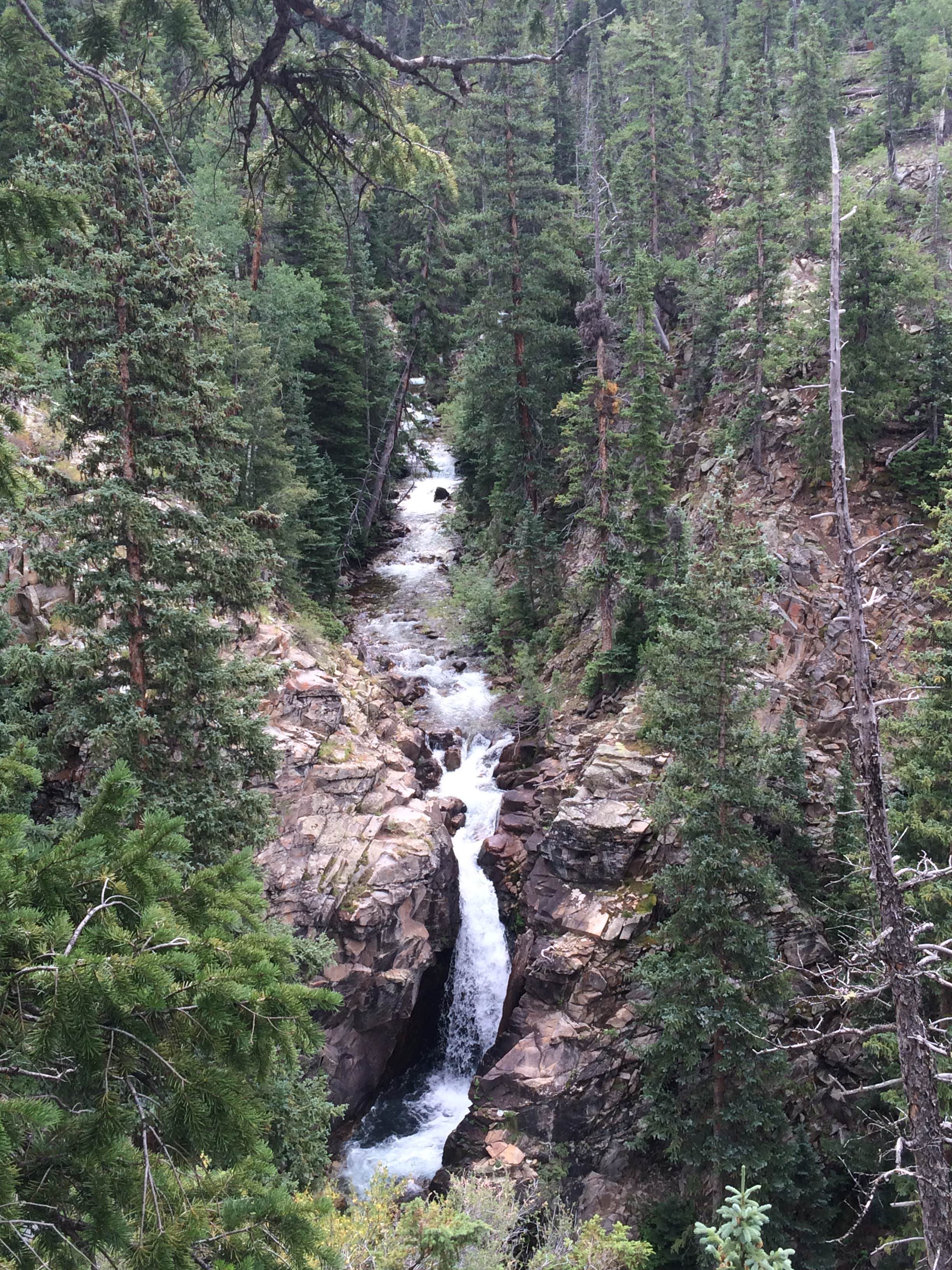 Camper submitted image from Gothic — Grand Mesa, Uncompahgre And Gunnison National Forest - 4