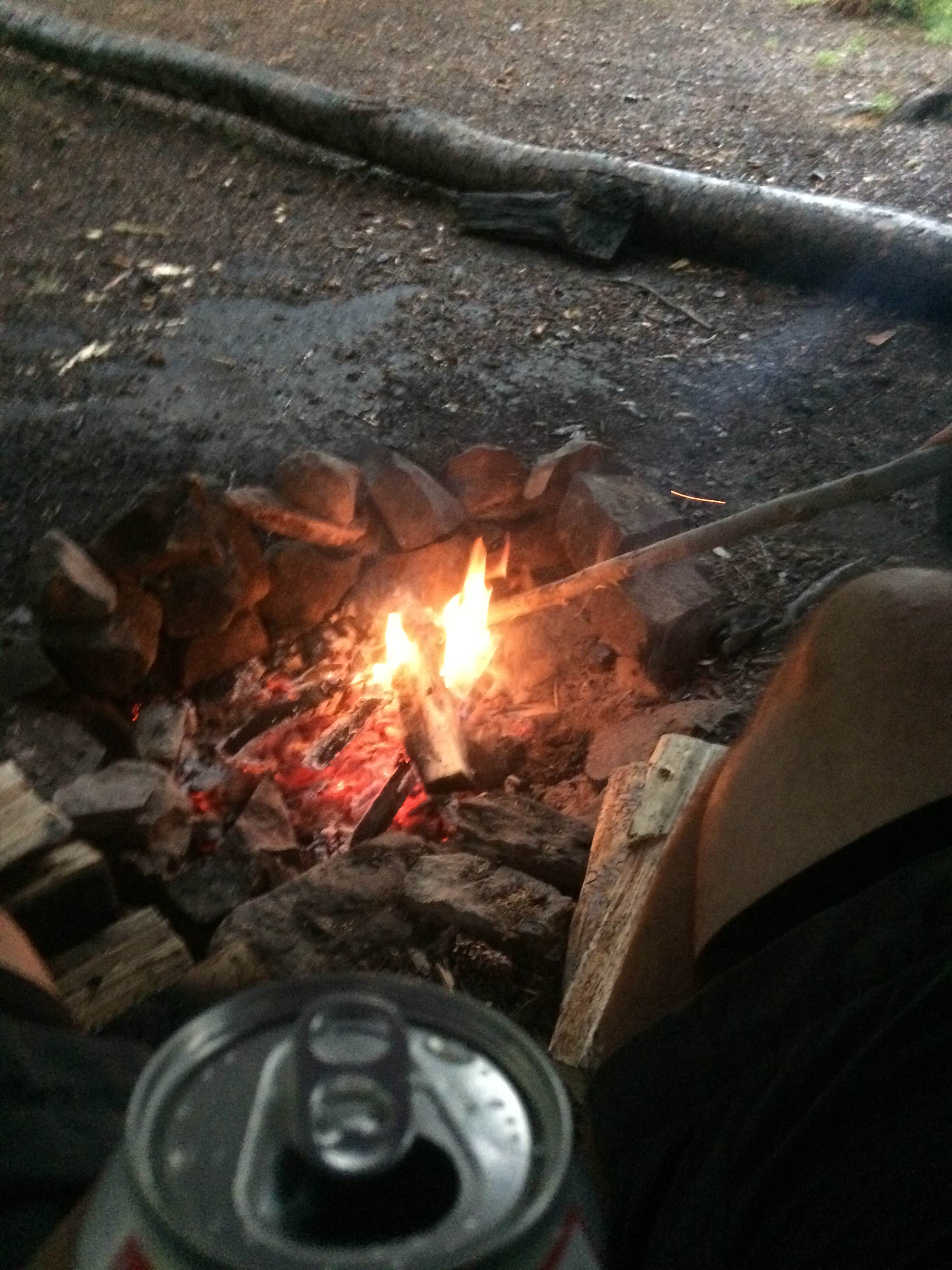 Camper submitted image from Gothic — Grand Mesa, Uncompahgre And Gunnison National Forest - 5