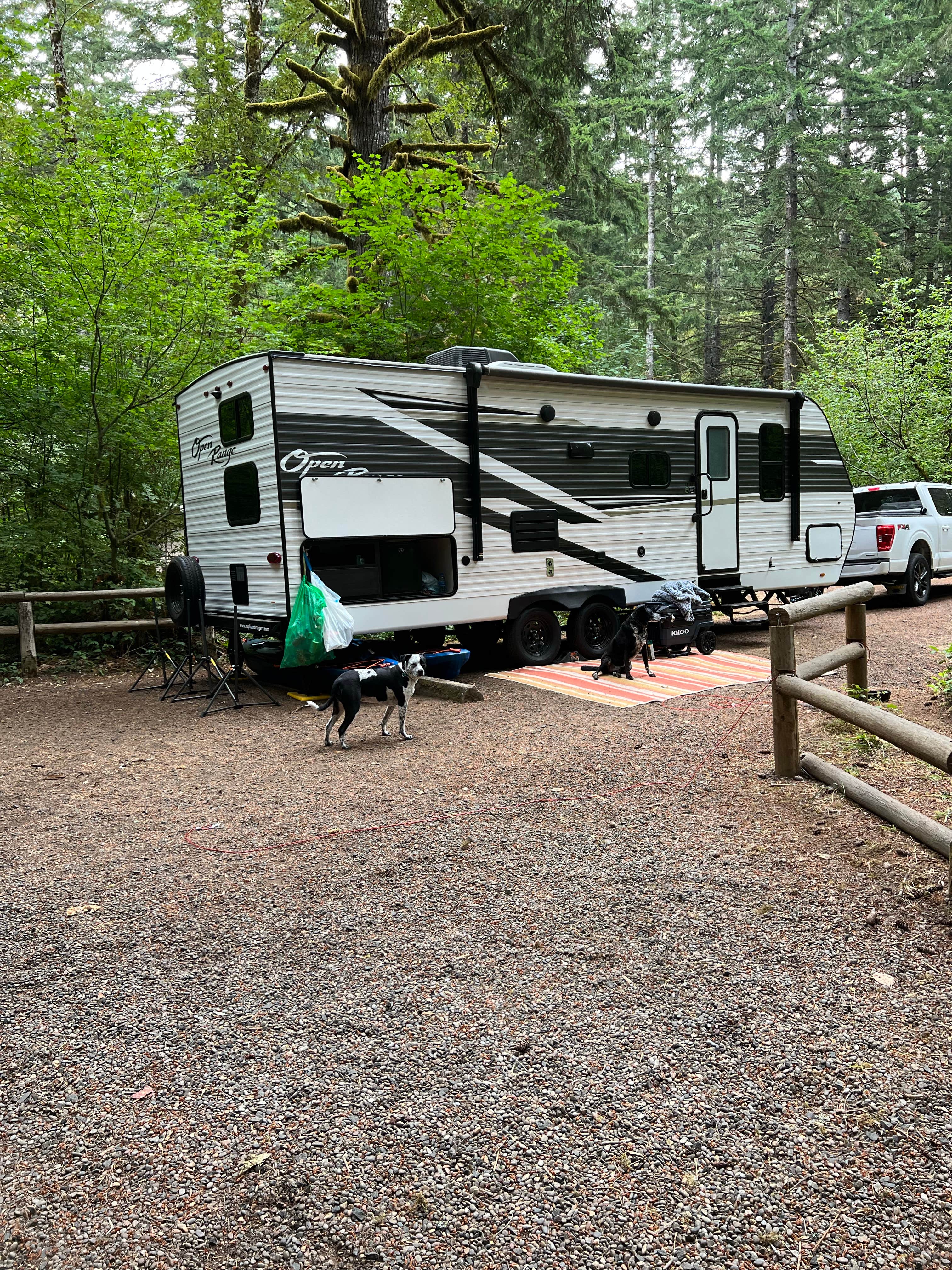 Dawn K.'s photo of rv camping at Alsea Falls Recreation Site (campground) near Monroe, OR