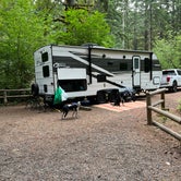 Review photo of Alsea Falls Recreation Site (campground) by Dawn K., November 2, 2022