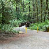 Review photo of Alsea Falls Recreation Site (campground) by Dawn K., November 2, 2022