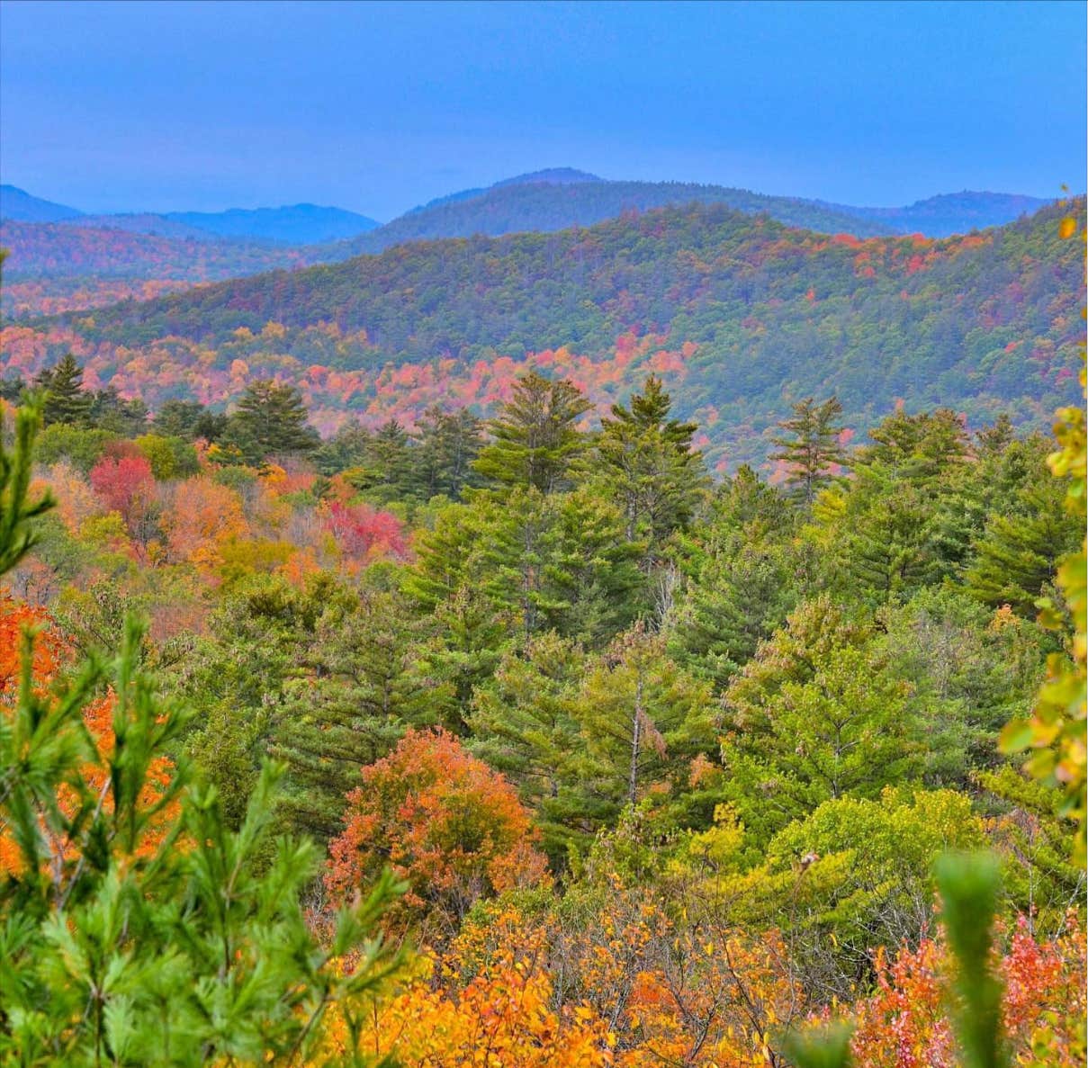 Camper-submitted photo at Mia’s Glampaway near Round Top, NY