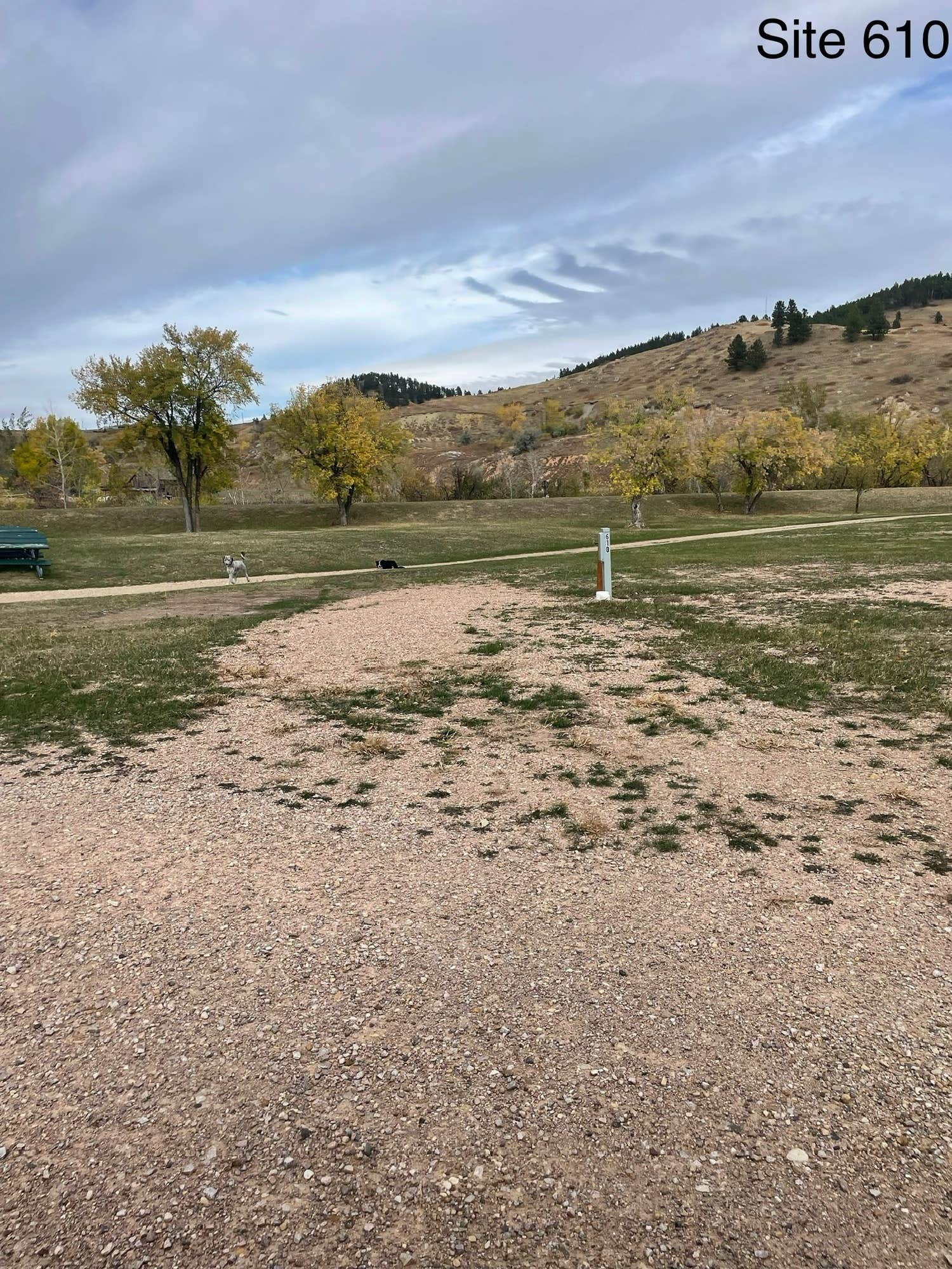 The Dyrt's photo of camping with pets at Days End Campground near Deadwood, SD