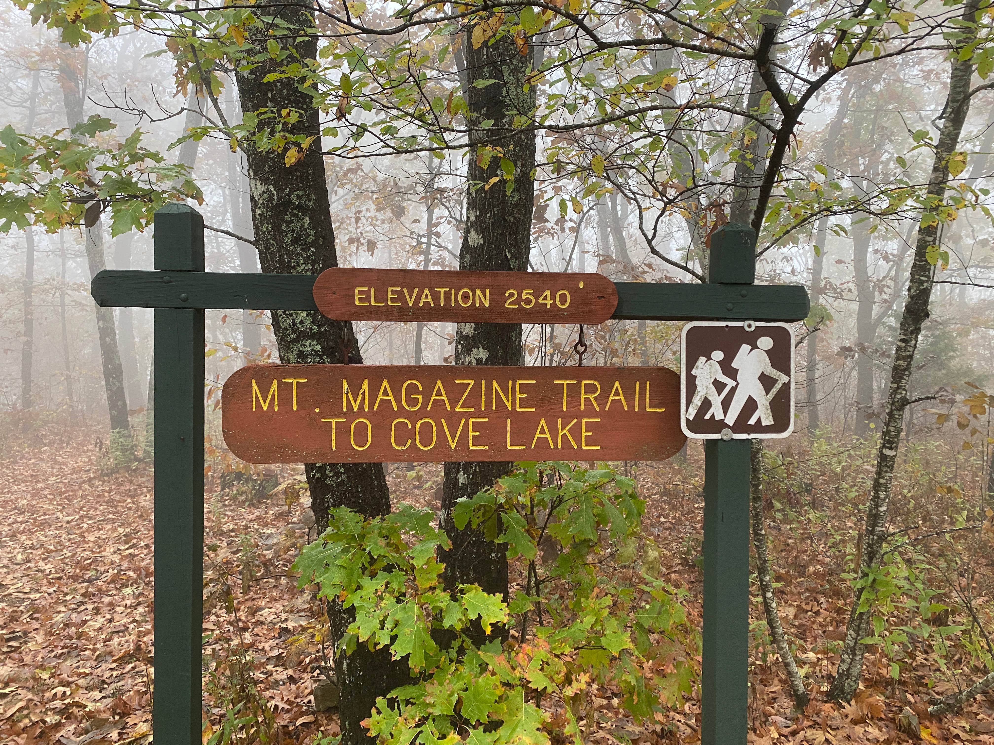 Camper-submitted photo at Cameron Bluff near Paris, AR