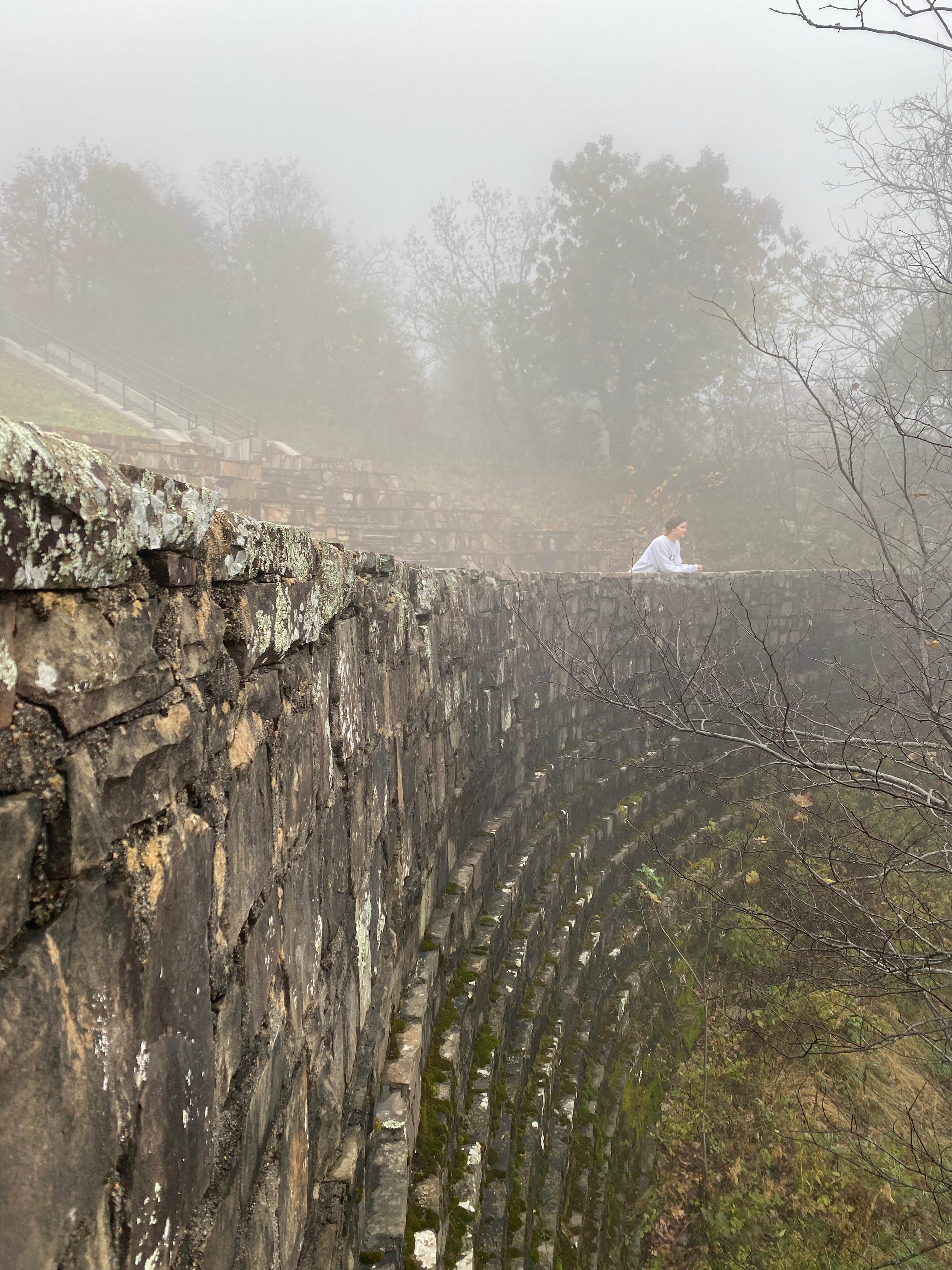 Camper-submitted photo at Cameron Bluff near Paris, AR