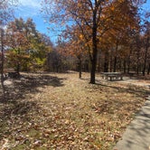 Review photo of Mount Magazine State Park Campground by Cultivating Fire L., November 2, 2022
