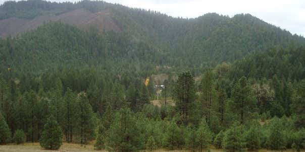 Camper submitted image from Spalding Pond Campground