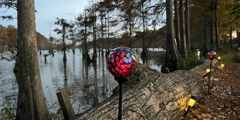 Camper submitted image from Flamingo Pointe RV Park at Lake Wallace, 2 miles off US HYW 165