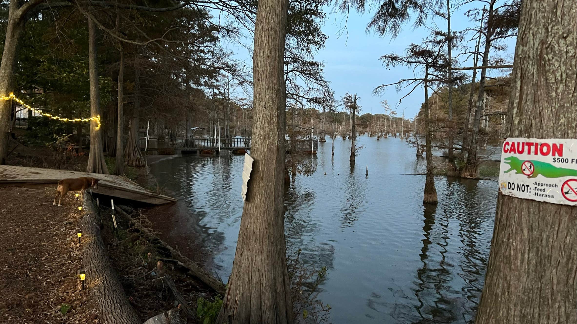 Camper-submitted photo at Flamingo Pointe RV Park at Lake Wallace, 2 miles off US HYW 165 near Greenville, MS