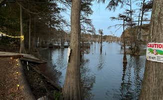 Jeff & Jamie G.'s photo of camping with pets at Flamingo Pointe RV Park at Lake Wallace, 2 miles off US HYW 165 near Hollandale, MS