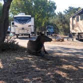 Review photo of Trailer Village RV Park — Grand Canyon National Park by Sophia , November 2, 2022