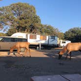 Review photo of Trailer Village RV Park — Grand Canyon National Park by Sophia , November 2, 2022