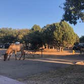 Review photo of Trailer Village RV Park — Grand Canyon National Park by Sophia , November 2, 2022