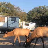 Review photo of Trailer Village RV Park — Grand Canyon National Park by Sophia , November 2, 2022