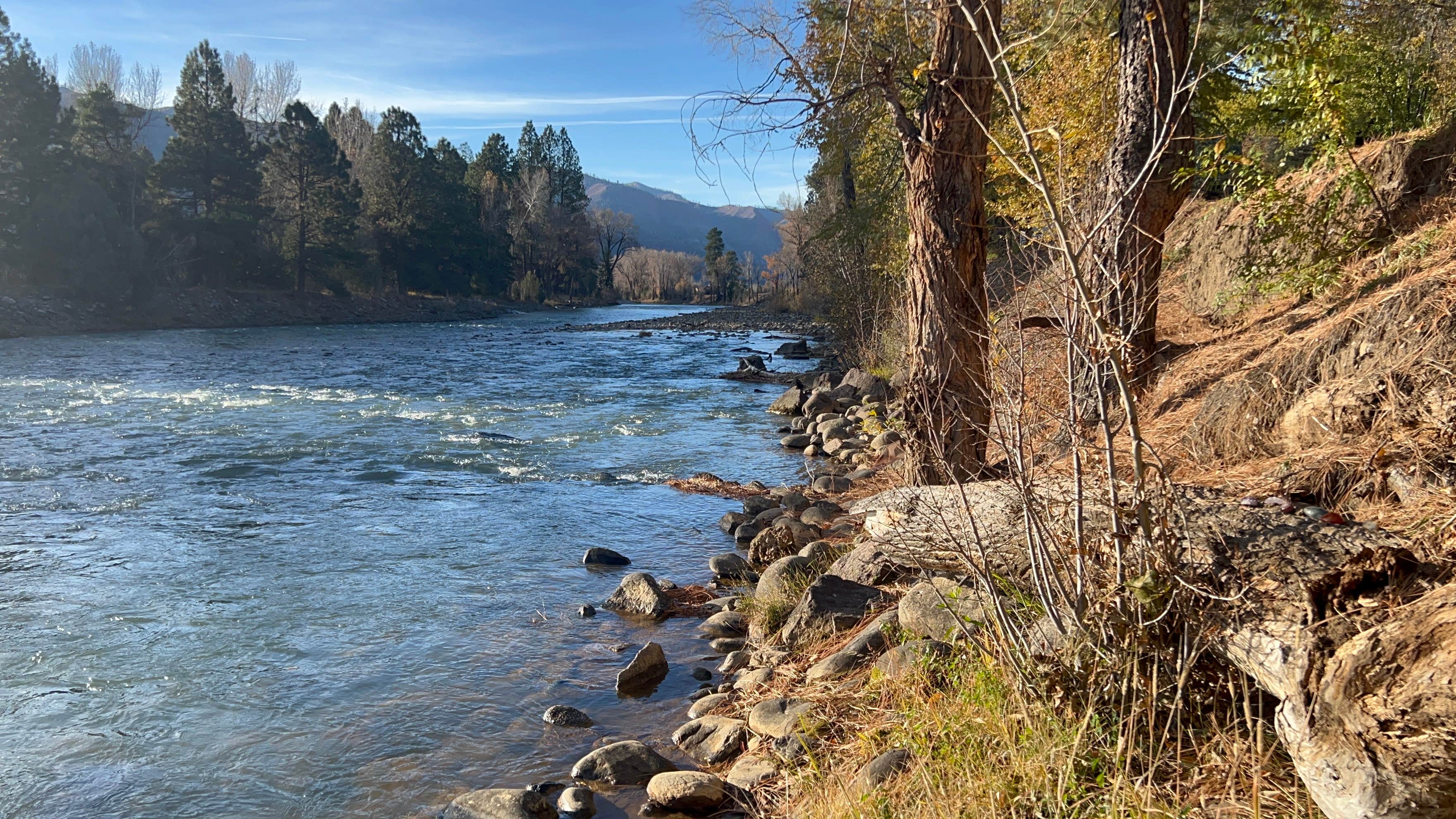 Camper-submitted photo at Junction West Grand Junction near Loma, CO