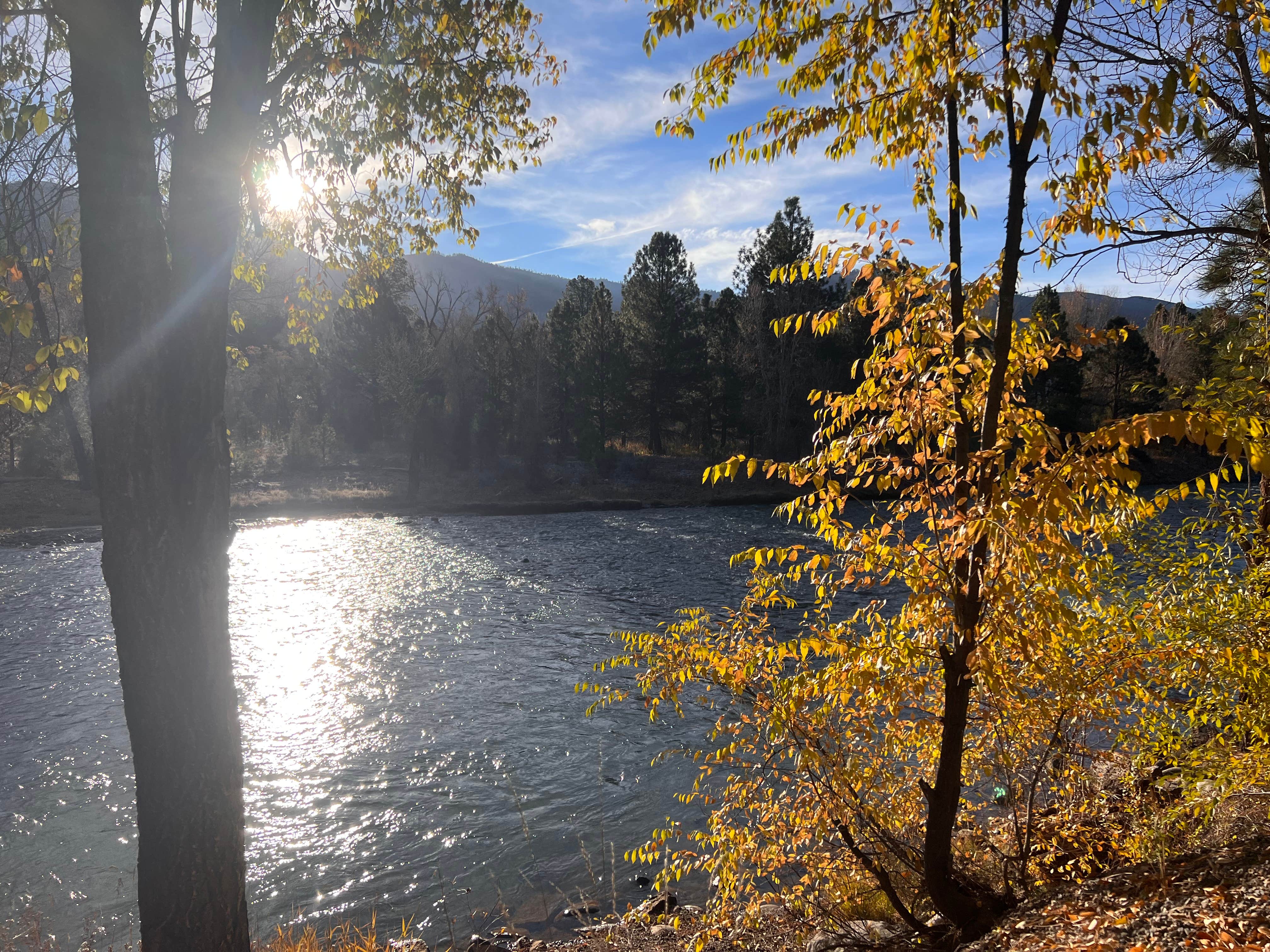 Camper-submitted photo at Junction West Grand Junction near Loma, CO