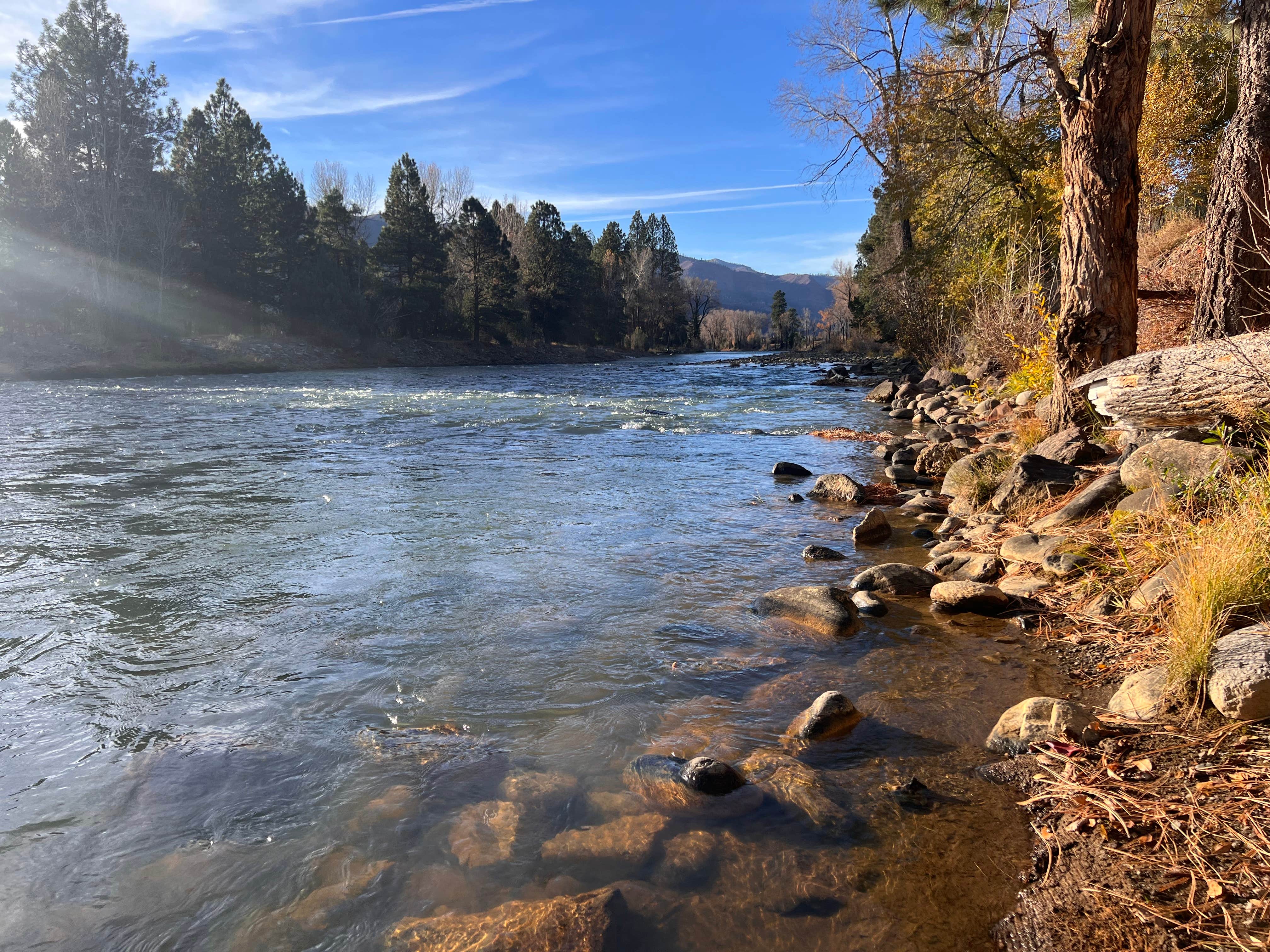 Camper-submitted photo at Junction West Grand Junction near Loma, CO