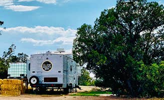 Briana Y.'s photo of camping with pets at Camp South Rim near Kaibab National Forest
