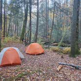 Review photo of Upper Chattahoochee River Campground — Chattahoochee Oconee National Forest by Jesse D., November 2, 2022