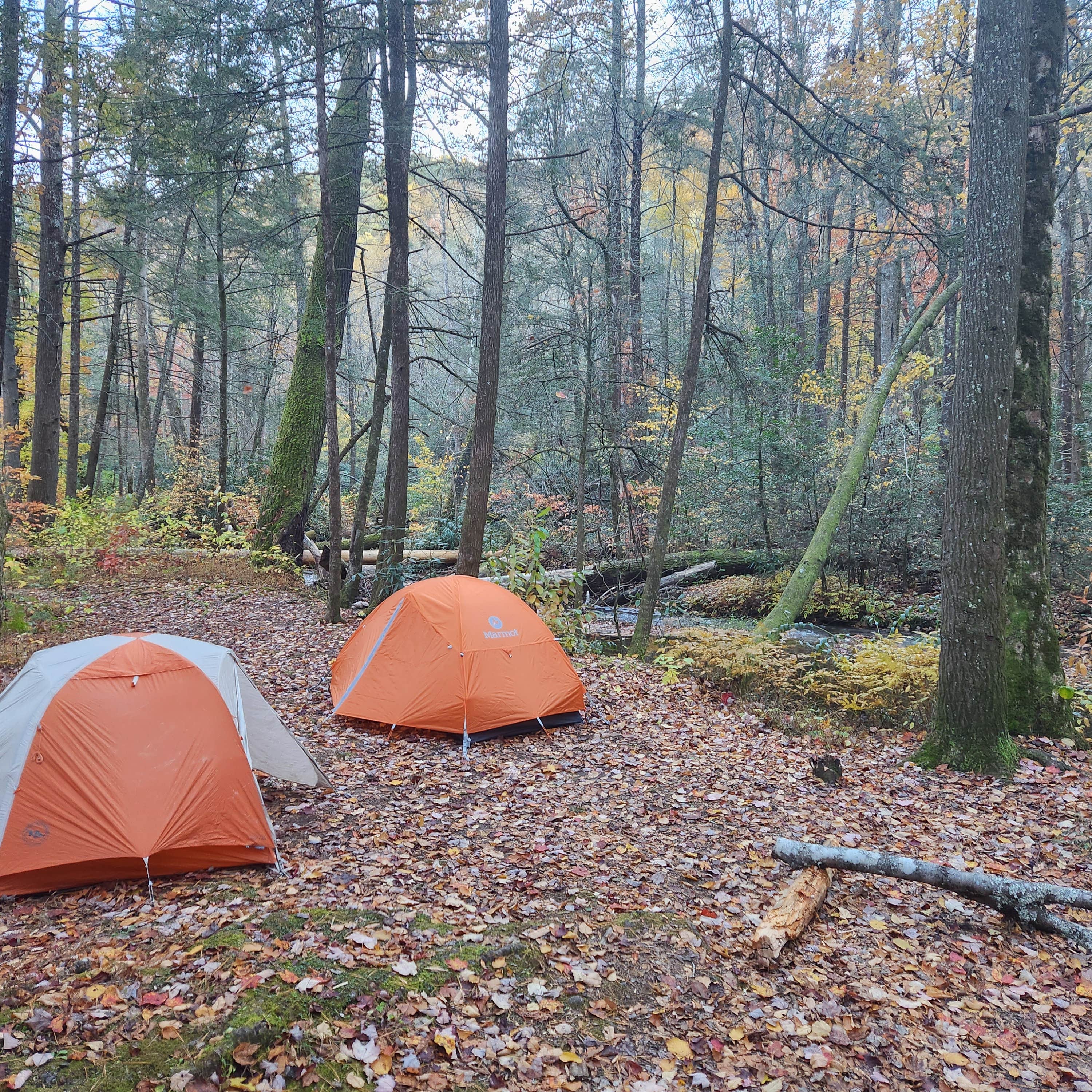 Escape To Nature’s Embrace: A Guide To Upper Chattahoochee River Campground