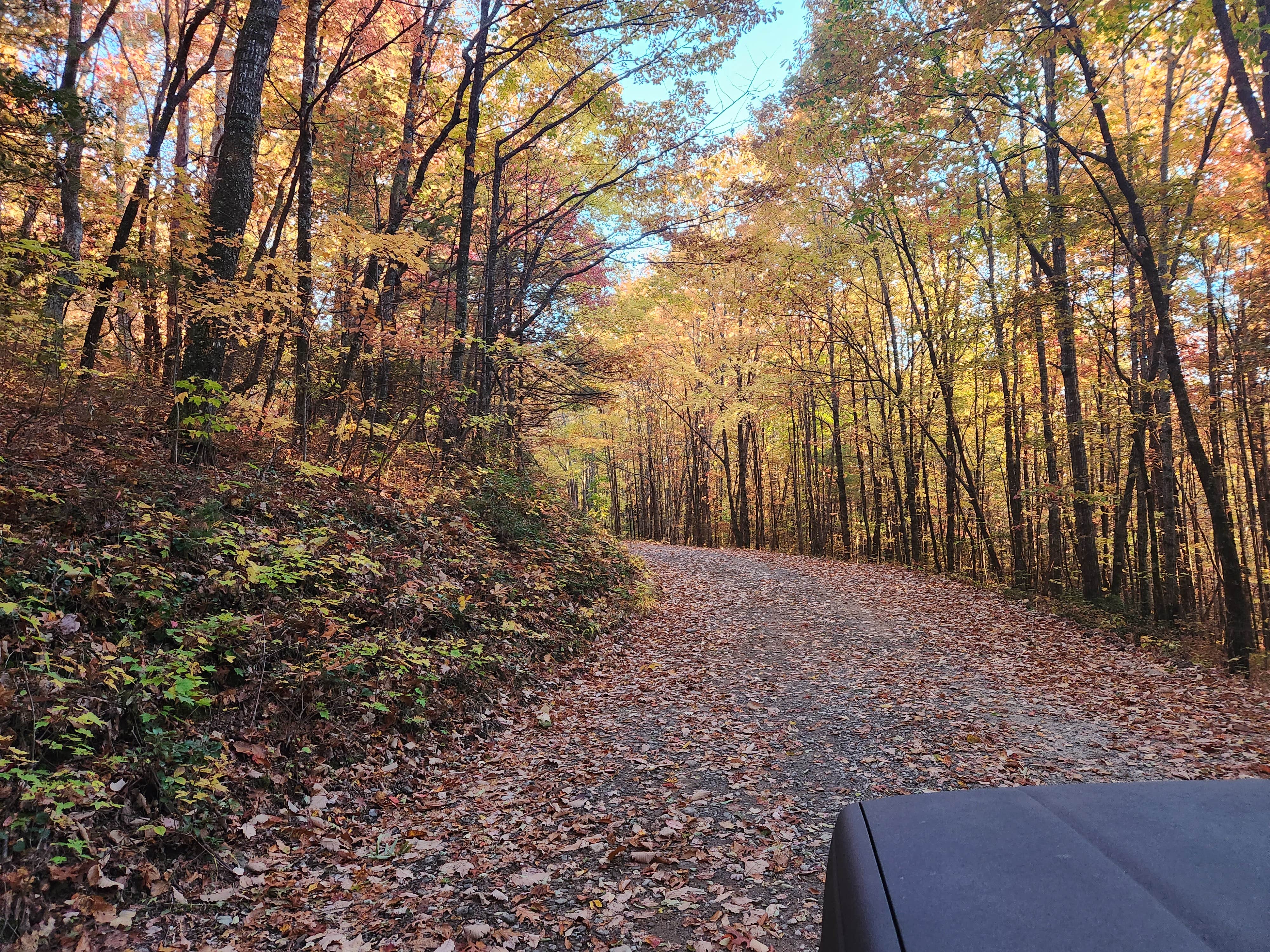 Camper submitted image from Upper Chattahoochee River Campground — Chattahoochee Oconee National Forest - 5