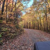 Review photo of Upper Chattahoochee River Campground — Chattahoochee Oconee National Forest by Jesse D., November 2, 2022