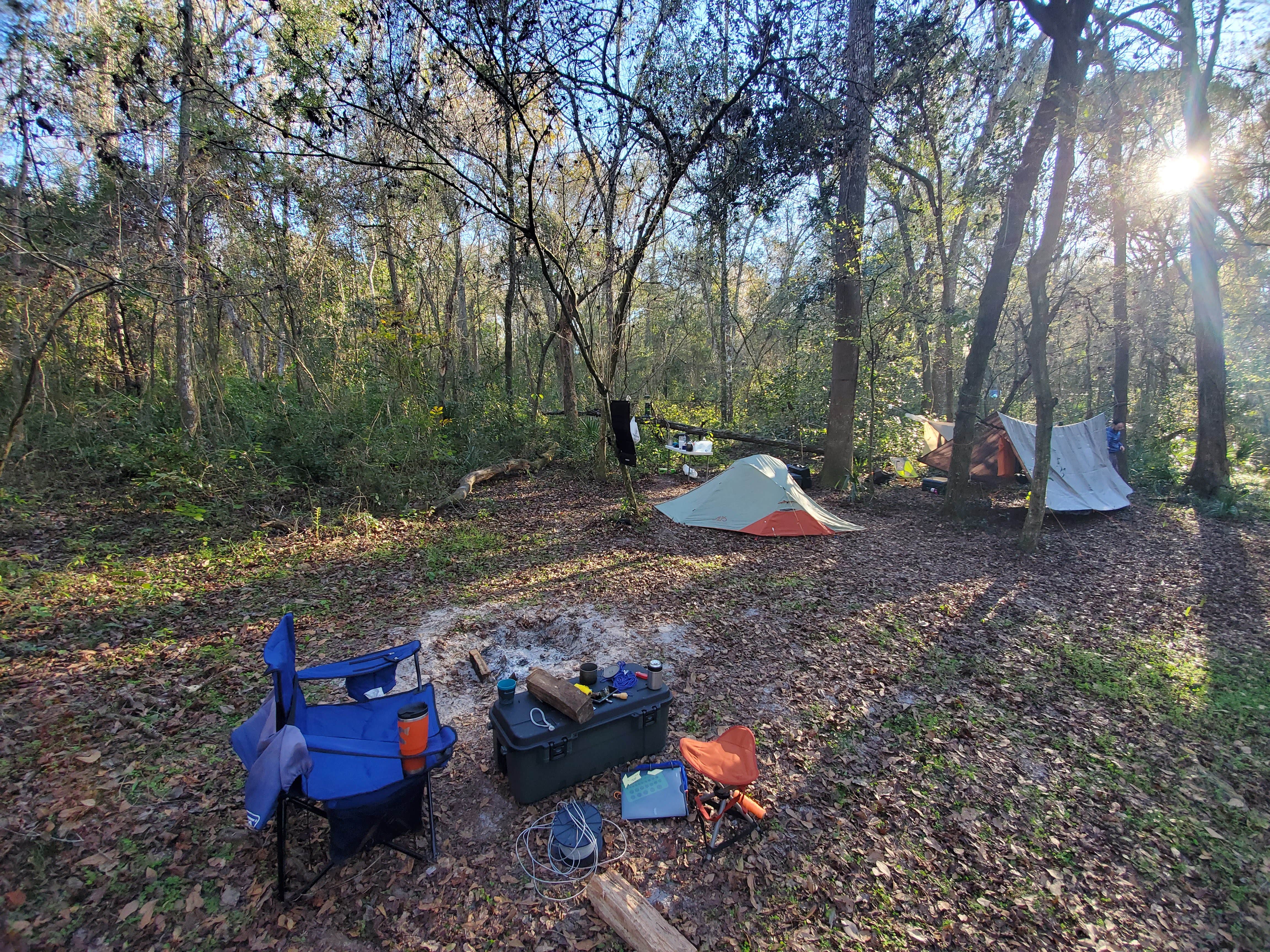 Camper submitted image from Florida Sand Music Ranch - 1