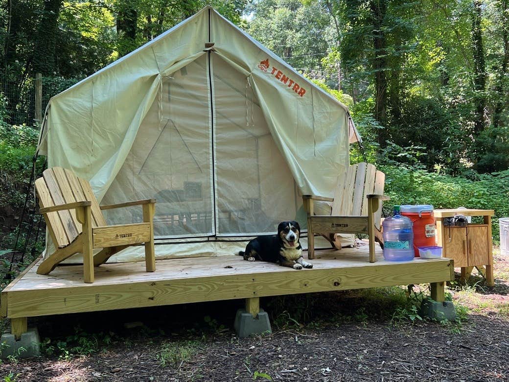 The Dyrt's photo of camping with pets at Tentrr Signature Site - Summer Haven Campsite #2 near Barnardsville, NC