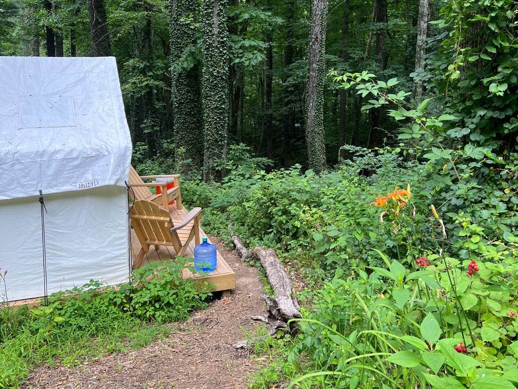 The Dyrt's photo at Tentrr Signature Site - Summer Haven Campsite #1 near Montreat, NC