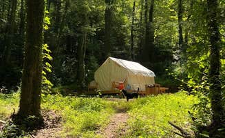 The Dyrt's photo of camping with pets at Tentrr Signature Site - Summer Haven Campsite #2 near Swannanoa, NC