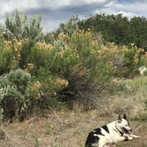 Review photo of Green River Campground — Dinosaur National Monument by Sondra M., September 13, 2018
