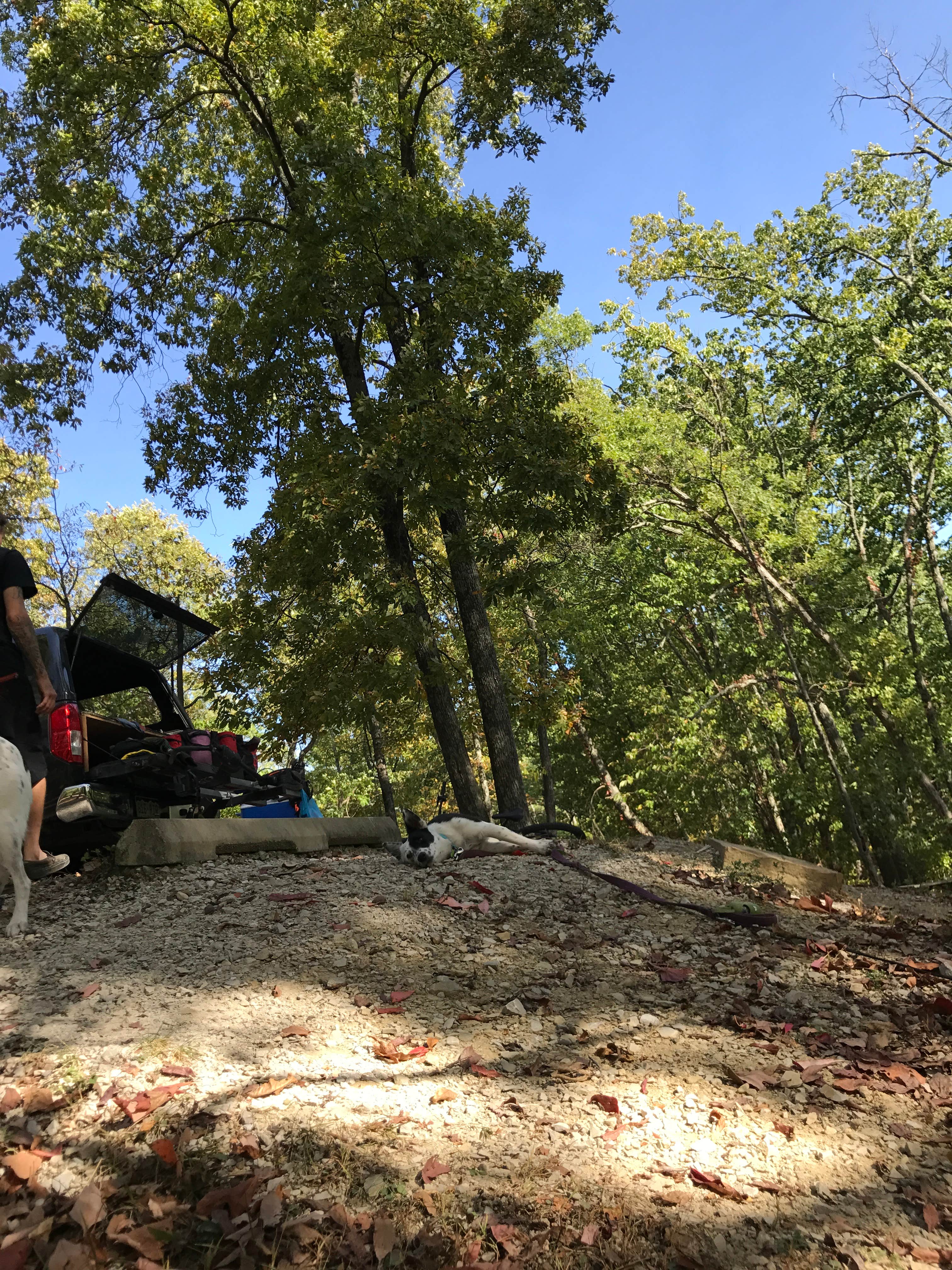 Taylor Ridge Campground — Brown County State Park