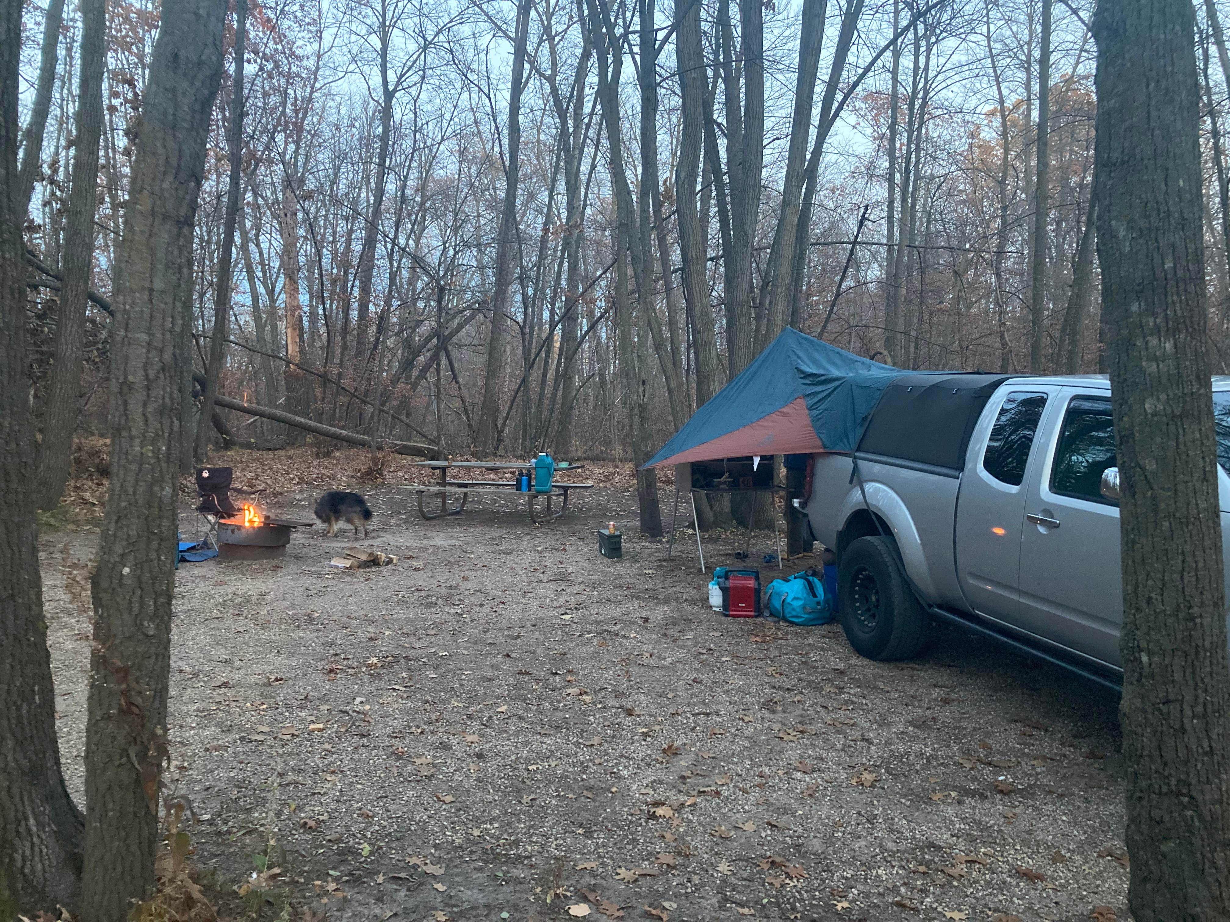 Lauren's photo of camping with pets at Lake Carlos State Park Campground near Melrose, MN