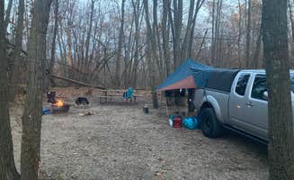 Lauren's photo of camping with pets at Lake Carlos State Park Campground near French, MN