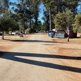 Review photo of Morro Bay State Park Campground by Kelly H., November 2, 2022